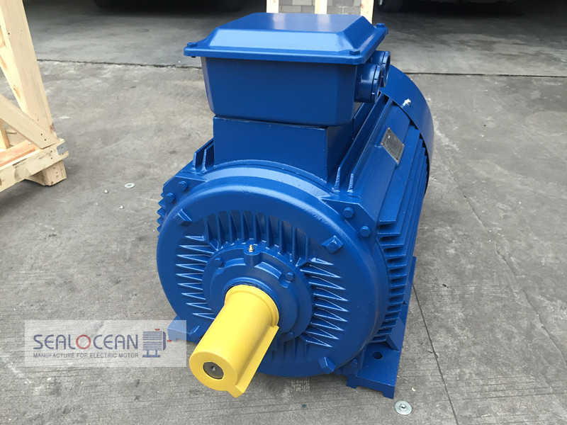 Y2 SERIES Three phase Induction Motor - china electric motor