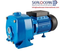 CHINA FACTORY CENTRIFUGAL SELF-PRIMING PUMP DB WITH BUILT-IN EJECTOR, DB SELF-PRIMING FROM CHINA FACTORY, DB SURFACE PUMP FROM CHINA, DB PUMP MADE IN CHINA