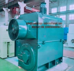 CHINA FACTORY VFD VSD HIGH VOLTAGE VARIABLE FREQUENCY ELECTRIC MOTORS YJTKK5003-2GJ 630 KW 10 KV COMPATIBLE WITH FREQUENCY CONVERTER, FOR PA FAN, CONVEYOR, MILL, CRUSHER, PUMP