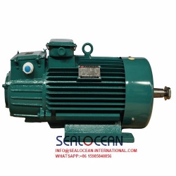 CHINA FACTORY GOST CRANE ELECTRIC MOTORS MTF312-6 15KW 955OB/M,MTN 412-8 22KW 715OB,2K.V.,4MTN280S10U1 45KW 570OB 2KV. CRANE METALLURGICAL FOR STEEL PLANT