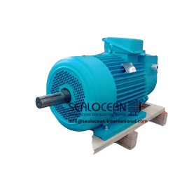 CHINA FACTORY GOST CRANE ELECTRIC MOTORS MTN112-6 IM1001 IP55 5,00 KW 925 RPM 220/380 V, MTN311-6 IM1001 IP55 11.0 KW 945 RPM 220/380 V . CRANE-METALLURGICAL FOR STEEL PLANT