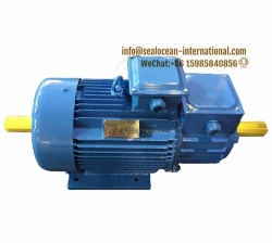 CHINA FACTORY GOST CRANE ELECTRIC MOTORS MTN 312-6 (15 KW, 950 RPM) IM 1002,MTN 311-6 (11KW/950 RPM) IM 1002 . CRANE-METALLURGICAL FOR STEEL PLANT
