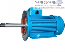 CHINA FACTORY 5.5 kW 3000 rpm electric MOTOR AIR100L2 W-PAWS + FLANGE (2001/2081), CHINA FACTORY electric Motor air 100L2ZHU2 IM2081 5.5 kW, 3000ob / min, CHINA FACTORY electric Motors AIR100L2ZH, AIR100L2ZHU2 with extended shaft for monoblock pumps