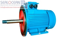 CHINA FACTORY 11 kW 3000 rpm electric MOTOR AIR132M2-PAWS + FLANGE (2001/2081), CHINA FACTORY electric Motor AIR132M2ZHU IM2081 11kW, 3000ob / min, CHINA FACTORY electric Motors AIR132M2ZH,AIR132M2ZHU with extended shaft for monoblock pumps