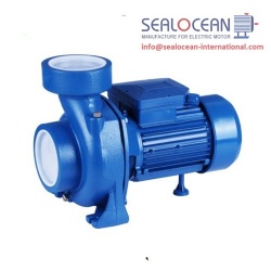 CHINA FACTORY HOME CENTRIFUGAL PUMPS DHM SERIES PUMPS, CANTILEVER SURFACE PUMPS OF THE DHM SERIES FROM CHINA FACTORY, CENTRIFUGAL HOUSEHOLD SURFACE PUMPS OF THE DHM SERIES FROM CHINA, DHM PUMP OF CHINESE PRODUCTION