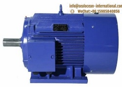 CHINA FACTORY THREE-PHASE SYNCHRONOUS PERMANENT MAGNET ELECTRIC MOTOR TYZD SERIES LOW-VOLTAGE LOW-SPEED DIRECT DRIVE (380V CENTER HEIGHT 355-800), ANALOG SIMENS, TOSIBA, ABB ELECTRIC MOTOR,CHINA FACTORY MINES, COAL ELECTRIC MOTOR