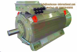 CHINA FACTORY HIGH POWER LOW VOLTAGE ELECTRIC MOTOR JC SERIES (380/660 V CENTER HEIGHT 355-560), ANALOG SIMENS, TOSIBA, ABB ELECTRIC MOTOR,CHINA FACTORY MINES, COAL ELECTRIC MOTOR