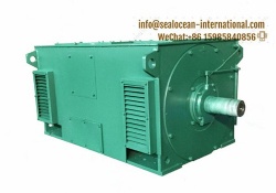 CHINA FACTORY high-VOLTAGE electric MOTORS Y3551-2 220KW, Y3552-2 250kW, Y3553-2 280KW, Y3554-2 315kW, Y3555-2 355kw, Y3556-2 400KW, IP23, 6 KV. IP23 high-VOLTAGE electric MOTORS FROM CHINA FACTORY