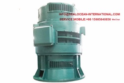 CHINA FACTORY VERTICAL HIGH-VOLTAGE AND LOW-VOLTAGE ELECTRIC MOTORS YSL SERIES (JSL MOTOR) SPECIAL MOTOR FOR BIOCHEMICAL EQUIPMENT (JSL ENGINE / JSL VERTICAL ENGINE / MIXING TANK ENGINE)