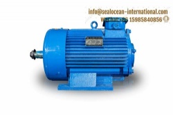 CHINA FACTORY YZD TWO-SPEED ELECTRIC MOTOR WITH CLOSED-LOOP ROTOR FOR CRANE AND METALLURGY,CHINA FACTORY OF YZ CRANE ELECTRIC MOTORS ,CHINA FACTORY OF CRANE ELECTRIC MOTORS INSTALLATION: IM1001 IM1002 IM1003 IM1004 IM3001 IM3003 IM3011 IM3013