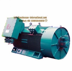 CHINA FACTORY EXPLOSION-PROOF VARIABLE FREQUENCY ELECTRIC MOTOR YBBP900S2-2 2800KW 10KV BT4 50KZ, CHINA FACTORY EXPLOSION-PROOF VARIABLE FREQUENCY ELECTRIC MOTOR YBBP, YBPT3,YBPT