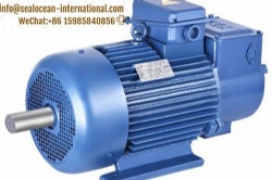 CHINA FACTORY CRANE ELECTRIC MOTORS MTH123LA6, 1000 RPM, 5.5 KW, VERSION 1001 FOR PUMP, FAN, BOILERS, MINING, STEEL AND METALLURGICAL PLANTS.CHINA FACTORY CRANE ELECTRIC MOTORS