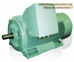 CHINA FACTORY Y2 SERIES COMPACT DESIGN HIGH VOLTAGE ELECTRIC MOTOR INDUCTION MOTOR 350KW, 3.3 KV, TYPE Y2-4002-4. (FOR GRINDING MACHINE. INDUSTRIAL APPLICATION) .CHINA FACTORY IC411, IP55, IP54, IP44 HIGH VOLTAGE ELECTRIC MOTOR