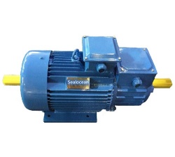 Эл.двигатель5MTН312-8 IM1002 IP54 11/700,russia gost standard motor, Крановые электродвигатели (КИТАЙ),КИТАЙСКИЕ ЗАВОД  КРАНОВЫЕ ЭЛЕКТРОДВИГАТЕЛИЕЛИ