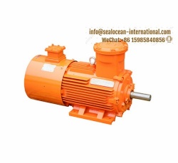 CHINA FACTORY EXPLOSION-PROOF VARIABLE SPEED ELECTRIC MOTOR SERIES YBBP, ExdI IBT4, ExdIICT4 Gb, IP65, IP55 SUITABLE FOR COAL, OIL AND GAS, CHEMICAL