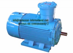 CHINA FACTORY EXPLOSION-PROOF ELECTRIC MOTOR WITH DUSTPROOF EXPLOSION-PROOF SERIES YFB2, ExdI IBT4, ExdIICT4 Gb, IP65, IP55 SUITABLE FOR COAL, OIL AND GAS, CHEMICAL