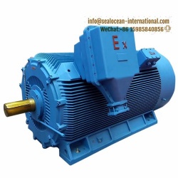 CHINA FACTORY EXPLOSION-PROOF HIGH-VOLTAGE ELECTRIC MOTOR WITH DUSTPROOF EXPLOSION-PROOF SERIES YFB, ExdI IBT4, ExdIICT4 Gb, IP65, IP55 SUITABLE FOR COAL, OIL AND GAS, CHEMICAL