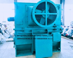 CHINA FACTORY VFD VSD HIGH-VOLTAGE VARIABLE FREQUENCY ELECTRIC MOTORS YVFKK/YPKK710-12, 900 KW, 10 KV COMPATIBLE WITH FREQUENCY CONVERTER, FOR PA FAN, CONVEYOR, MILL, CRUSHER, PUMP