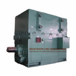 CHINA FACTORY WATER COOLING HIGH VOLTAGE ELECTRIC MOTORS YKS1000-4, 9600 KW,10000V, 1495 RPM, ICW81A, IP55, F INSULATION POWER PLANT USE FOR PA FAN,CONVEYOR,MILL,CRUSHER,WATER PUMP