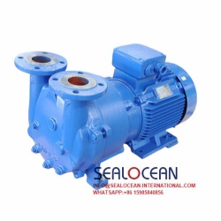 CHINA FACTORY 2BV SERIES WATER RING VACUUM PUMPS (LIQUID RING VACUUM PUMP) .  SUITABLE FOR PUMPING THE GASES AND STEAM