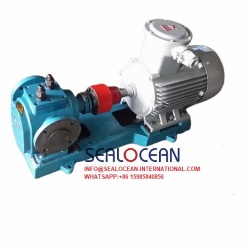 CHINA FACTORY RCB HEAT INSULATION GEAR ASPHALT PUMP/BITUMEN PUMP. THERMAL  INSULATION PUMP   CHINA SUPPLIER,FACTORY AND MANUFACTURE