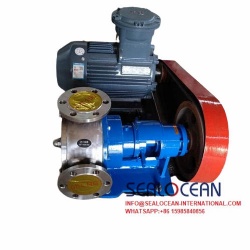 CHINA FACTORY NCB SERIES STAINLESS STEEL HIGH VISCOSITY ROTOR PUMP . LOBE ROTOR PUMP   CHINA SUPPLIER,FACTORY AND MANUFACTURER