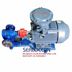 CHINA FACTORY  2CG SERIES HARD-TOOTHED SURFACE RESIDUE OIL PUMP HIGH TEMPERATURE OIL PUMP,THERMAL OIL LUBRICATION PUMP .HOT OIL PUMP   CHINA SUPPLIER,FACTORY AND MANUFACTURER