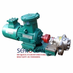 CHINA FACTORY KCB STAINLESS STEEL COOKING OIL GEAR PUMP, OLIVE OIL TRANSFER PUMP, SOYBEAN OIL TRANSFER PUMP