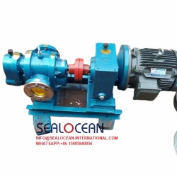 CHINA FACTORY LCW SERIES  HIGH VISCOSITY ROOTS INSULATION PUMP,   LOBE  GEAR PUMP . THERMAL  INSULATION PUMP   CHINA SUPPLIER,FACTORY AND MANUFACTURER