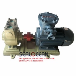 CHINA FACTORY YPB SERIES ROTOR SLIDING VANE EXPLOSION PROOF PUMP WITH STRONG SUCTION FOR GASOLINE, DIESEL, WINE