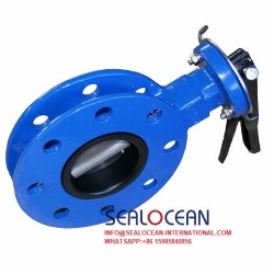 CHINA BUTTERFLY VALVE MANUFACTURER FACTORY - CHINA INDUSTRIAL BUTTERFLY VALVE FACTORY. ELECTRIC BUTTERFLY VALVE, PNEUMATIC BUTTERFLY VALVE, HYDRAULIC BUTTERFLY VALVE, MANUAL BUTTERFLY VALVE SUPPLIER FROM CHINA