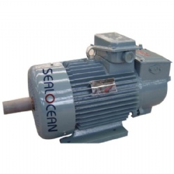 CHINA FACTORY GOST CRANE ELECTRIC MOTORS MTKH111-6U1IM2002 3.5KW 865 RPM,MTF-311-8 7.5 750OB KW,MTN-312-6 15KW 950OB 2 KV,MTN112-6 5KW 1000OB IM2001,MTF312-6 15KW 955OB/M