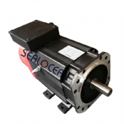 CHINA FACTORY 0.1-300 KW SERVO MOTOR, AC ASYNCHRONOUS SERVO MOTOR,SPINDLE MOTOR, HIGH-SPEED MOTOR, CNC MACHINE MOTOR, SL-380,146 KW,697 NM,2000 RPM,67 HZ