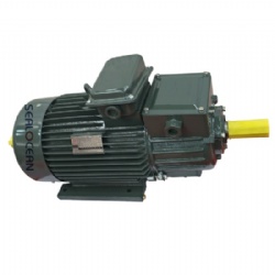 CHINA FACTORY RUSSIA GOST CRANE ELECTRIC MOTORS MT411-6 22/960 IM 1003 , MT611-10 45/575 IM1004 ,MT612-10 60/575 IM1004 ,4 MTM 225-M8 30/730 IM1003