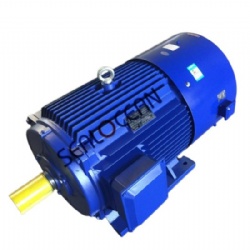 CHINA FACTORY YVF2,Y2VP,YJP,YSP,YVF,YVP,YPYQ,YPT VARIABLE FREQUENCY ELECTRIC MOTORS, YVP-225M-4.45 KW,YVP-225S-4.37 KW,YVP-250M-4.55 KW,YVP2-315L-6,200 KW,690V,ANALOG MOTOR ABB M3BP315LKC6,IC416,IP55, F, S1 ,VFD,FOR STEEL SHREDDER