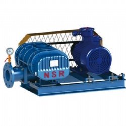 NSR50 NSR65 NSR80 NSR100 NSR125 NSR150 NSR200 NSR250 NSR300 — Three-Lobe Roots Blower China Factory