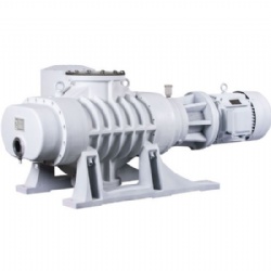 China Factory ZJ Series Standard Roots Vacuum Pump ZJ-30 ZJ-70 ZJ-150 ZJ-300 ZJ-600 ZJ-1200 ZJ-2500 ZJ-5000 ZJ-10000 ZJ-20000
