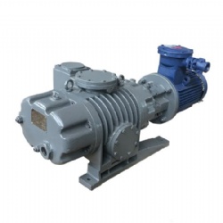 China Factory ZJP-30–5000 Bypass Valve Roots Vacuum Pump | JB/T 7674 | Industrial Manufacturer & OEM Supplier