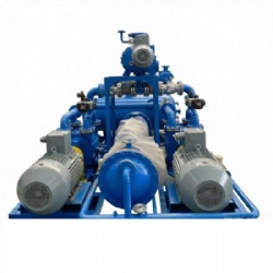 China Factory 2BV5×2 Liquid Ring Vacuum Unit 2BV5-110×2 2BV5-111×2 2BV5-121×2 2BV5-131×2 2BV5-161×2 Manufacturer